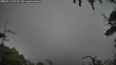 ./images/calvert/fitz-hugh-hecate/20250713/fitz-hugh-hecate20250713_192508M.jpg