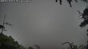 ./images/calvert/fitz-hugh-hecate/20250713/fitz-hugh-hecate20250713_193509M.jpg