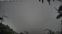 ./images/calvert/fitz-hugh-hecate/20250713/fitz-hugh-hecate20250713_194008M.jpg