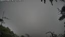 ./images/calvert/fitz-hugh-hecate/20250713/fitz-hugh-hecate20250713_194506M.jpg