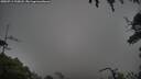 ./images/calvert/fitz-hugh-hecate/20250713/fitz-hugh-hecate20250713_195008M.jpg