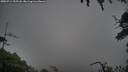 ./images/calvert/fitz-hugh-hecate/20250713/fitz-hugh-hecate20250713_195508M.jpg