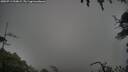 ./images/calvert/fitz-hugh-hecate/20250713/fitz-hugh-hecate20250713_200009M.jpg