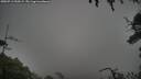 ./images/calvert/fitz-hugh-hecate/20250713/fitz-hugh-hecate20250713_200509M.jpg