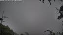 ./images/calvert/fitz-hugh-hecate/20250713/fitz-hugh-hecate20250713_201507M.jpg