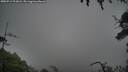 ./images/calvert/fitz-hugh-hecate/20250713/fitz-hugh-hecate20250713_203008M.jpg