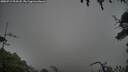 ./images/calvert/fitz-hugh-hecate/20250713/fitz-hugh-hecate20250713_203508M.jpg