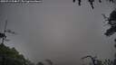 ./images/calvert/fitz-hugh-hecate/20250713/fitz-hugh-hecate20250713_204007M.jpg