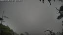 ./images/calvert/fitz-hugh-hecate/20250713/fitz-hugh-hecate20250713_210009M.jpg