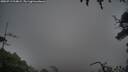 ./images/calvert/fitz-hugh-hecate/20250713/fitz-hugh-hecate20250713_214009M.jpg