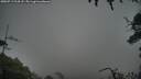 ./images/calvert/fitz-hugh-hecate/20250713/fitz-hugh-hecate20250713_214508M.jpg
