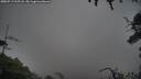 ./images/calvert/fitz-hugh-hecate/20250713/fitz-hugh-hecate20250713_215508M.jpg