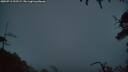 ./images/calvert/fitz-hugh-hecate/20250713/fitz-hugh-hecate20250713_222508M.jpg