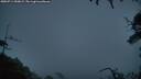 ./images/calvert/fitz-hugh-hecate/20250714/fitz-hugh-hecate20250714_050009M.jpg