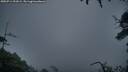 ./images/calvert/fitz-hugh-hecate/20250714/fitz-hugh-hecate20250714_051009M.jpg