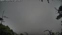 ./images/calvert/fitz-hugh-hecate/20250714/fitz-hugh-hecate20250714_052508M.jpg