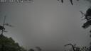 ./images/calvert/fitz-hugh-hecate/20250714/fitz-hugh-hecate20250714_053008M.jpg
