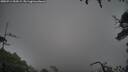 ./images/calvert/fitz-hugh-hecate/20250714/fitz-hugh-hecate20250714_054508M.jpg