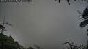 ./images/calvert/fitz-hugh-hecate/20250714/fitz-hugh-hecate20250714_055508M.jpg