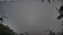 ./images/calvert/fitz-hugh-hecate/20250714/fitz-hugh-hecate20250714_060010M.jpg