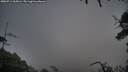 ./images/calvert/fitz-hugh-hecate/20250714/fitz-hugh-hecate20250714_065006M.jpg