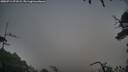 ./images/calvert/fitz-hugh-hecate/20250714/fitz-hugh-hecate20250714_071008M.jpg