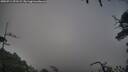 ./images/calvert/fitz-hugh-hecate/20250714/fitz-hugh-hecate20250714_071509M.jpg