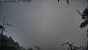 ./images/calvert/fitz-hugh-hecate/20250714/fitz-hugh-hecate20250714_072010M.jpg