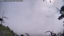 ./images/calvert/fitz-hugh-hecate/20250714/fitz-hugh-hecate20250714_101510M.jpg