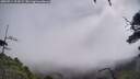 ./images/calvert/fitz-hugh-hecate/20250714/fitz-hugh-hecate20250714_103509M.jpg
