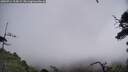 ./images/calvert/fitz-hugh-hecate/20250714/fitz-hugh-hecate20250714_104509M.jpg
