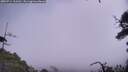 ./images/calvert/fitz-hugh-hecate/20250714/fitz-hugh-hecate20250714_113512M.jpg
