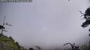 ./images/calvert/fitz-hugh-hecate/20250714/fitz-hugh-hecate20250714_115508M.jpg