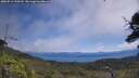 ./images/calvert/fitz-hugh-hecate/20250714/fitz-hugh-hecate20250714_120508M.jpg