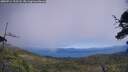 ./images/calvert/fitz-hugh-hecate/20250714/fitz-hugh-hecate20250714_123508M.jpg