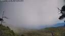 ./images/calvert/fitz-hugh-hecate/20250714/fitz-hugh-hecate20250714_132008M.jpg