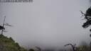 ./images/calvert/fitz-hugh-hecate/20250714/fitz-hugh-hecate20250714_133510M.jpg