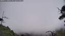 ./images/calvert/fitz-hugh-hecate/20250714/fitz-hugh-hecate20250714_134510M.jpg
