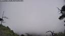 ./images/calvert/fitz-hugh-hecate/20250714/fitz-hugh-hecate20250714_135007M.jpg