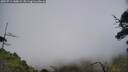 ./images/calvert/fitz-hugh-hecate/20250714/fitz-hugh-hecate20250714_145009M.jpg