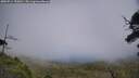 ./images/calvert/fitz-hugh-hecate/20250714/fitz-hugh-hecate20250714_150011M.jpg