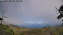 ./images/calvert/fitz-hugh-hecate/20250714/fitz-hugh-hecate20250714_150509M.jpg