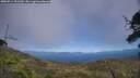 ./images/calvert/fitz-hugh-hecate/20250714/fitz-hugh-hecate20250714_151510M.jpg