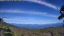 ./images/calvert/fitz-hugh-hecate/20250714/fitz-hugh-hecate20250714_161009M.jpg