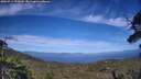 ./images/calvert/fitz-hugh-hecate/20250714/fitz-hugh-hecate20250714_174510M.jpg