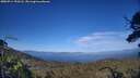 ./images/calvert/fitz-hugh-hecate/20250714/fitz-hugh-hecate20250714_190508M.jpg