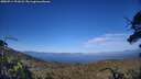 ./images/calvert/fitz-hugh-hecate/20250714/fitz-hugh-hecate20250714_191008M.jpg