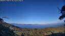 ./images/calvert/fitz-hugh-hecate/20250714/fitz-hugh-hecate20250714_194508M.jpg