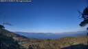 ./images/calvert/fitz-hugh-hecate/20250714/fitz-hugh-hecate20250714_195007M.jpg