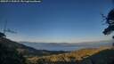 ./images/calvert/fitz-hugh-hecate/20250714/fitz-hugh-hecate20250714_204508M.jpg